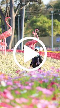 BIB:  <button type="button" onclick="openModal(27583454)" class="btn btn-primary btn-sm float-right" data-toggle="modal" data-target=".modal-high-quality">
                <i class="fa fa-download"></i> Download
                </button>